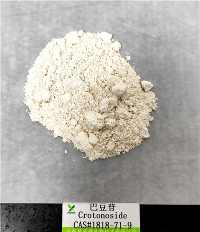 巴豆苷|1818-71-9